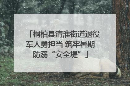 桐柏县清淮街道退役军人勇担当 筑牢暑期防溺“安全堤”
